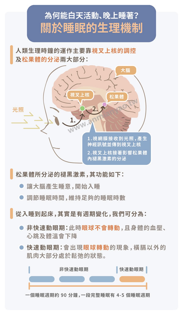 失眠生理機制圖解